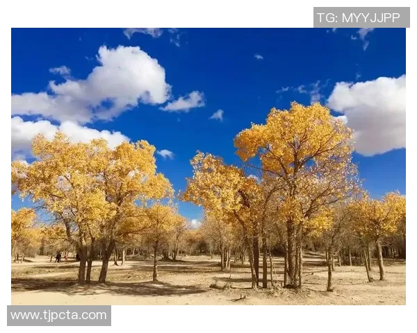 追梦西部挑战虽艰难但我们与湖船携手共创辉煌争夺冠军 追梦西部挑战虽艰难但我们与湖船携手共创辉煌争夺冠军